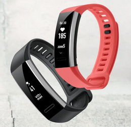 華為發(fā)布Band 2與Band 2 Pro智能手環(huán) VO2 max與TruSleep自動(dòng)睡眠跟蹤引領(lǐng)健康監(jiān)測新體驗(yàn)